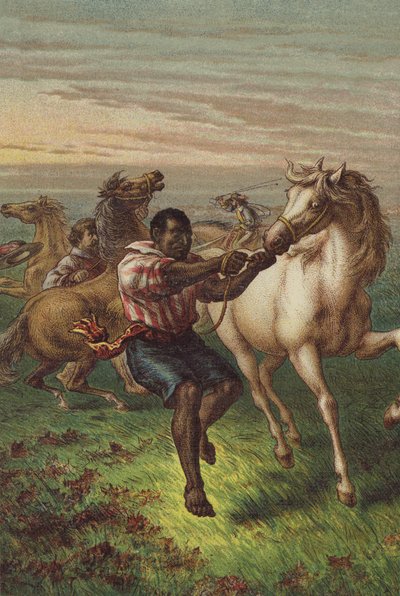 Les cavaliers de Garibaldi domptant des chevaux sauvages - English School